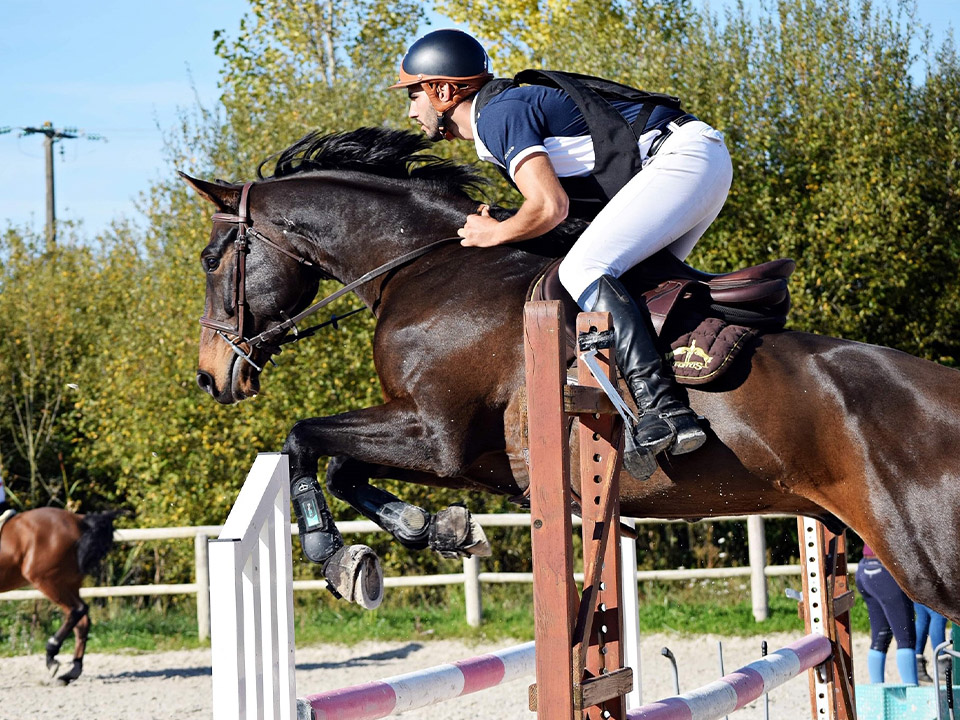 Valorisation de chevaux de CSO