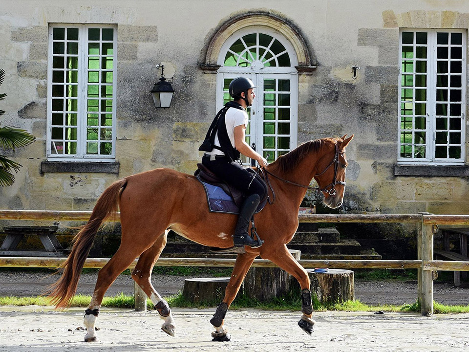 Valorisation de chevaux