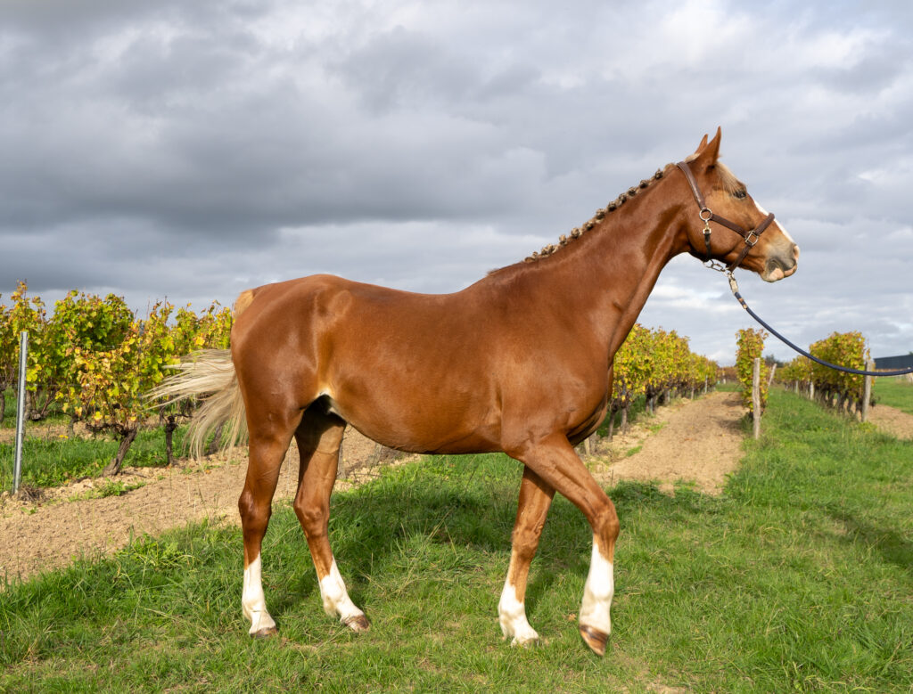 Trashed 1670362748 A7397581 1024x779