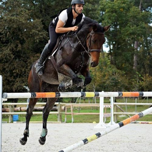 122540384 10224268438446723 4555912293853602711 n e1610531005325 p1arym5xqzry6kroa0kxfps7aitan4bx4kmkulzj48