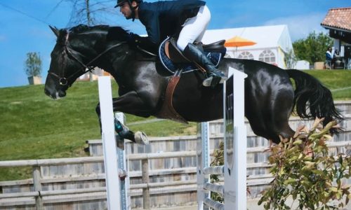 Les écuries Robin Verlhac 18119010 10213017753426629 4625406352287809695 n 1 ptw59smx75nyxevumil41t1f98b11vq5la3mea5p6g