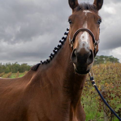 a7394521 scaled pxrol6n8x76rqg9j9zhvmbv9y4vin4iqw4i8jkuidk