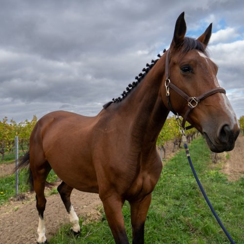 a7396421 scaled pxrowrzl7n22xbfbkzw8dejxp7qhkqjkhi5tmfnpmw (1)