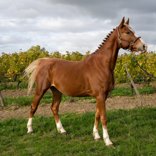 a7397211 scaled pxrp7gfkuvocttww842n77jgnt3m0xxsaczewltoy0