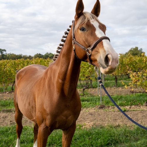 a7397441 scaled pxrp5aez3mpk2727vocly987cts5a2c2bmu42n1dag