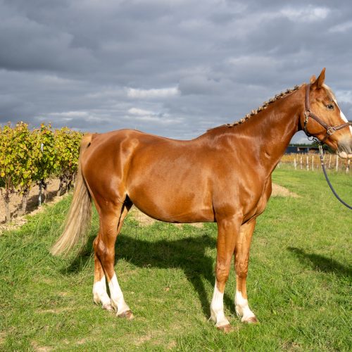 a7397741 scaled pxrp2of4474vt6ur4jpx0wy3yanfwbywmplk2ywqko