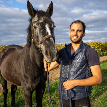 photo-54 design sans titre (56)