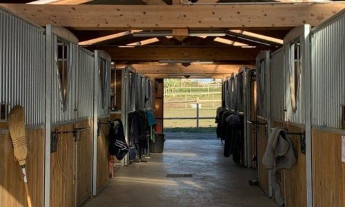 photo-hero-15 img 53881 pss23d7fv7ywuxl9zxfkvbq5z92lay8v6qfm6ni9q0