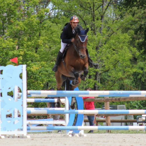 kitty web2 p7qeawtie7yz88526lmc09iaicccwzaqr3bay5o494