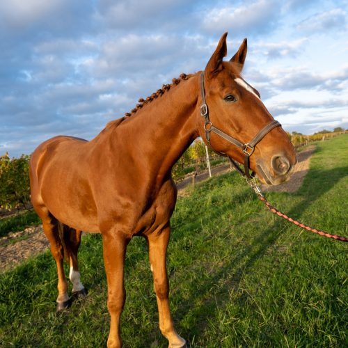 trashed 1670361134 a7300011 scaled pxross6a5zl7kz87wrqb9wuet9fbv1omxqcj73ky2w