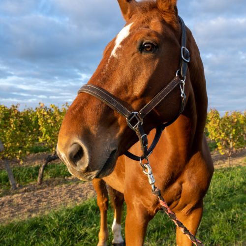 trashed 1670361134 a7300051 scaled pxrotgm33oinyu8py2am2qoe9a2vf6dnp3b5oakpl4