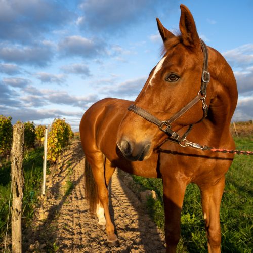 trashed 1670361134 a7300151 scaled pxrorg8ihfrl4v5uop0c8qxwilzlyhebr52rpzk0w8