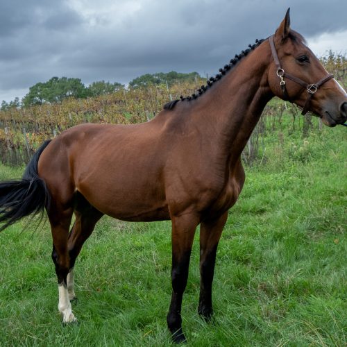 trashed 1670361484 a7395221 scaled pxrop3n1ecjs3ykqeofx0caf1xkkpq2hfid2j31gg8