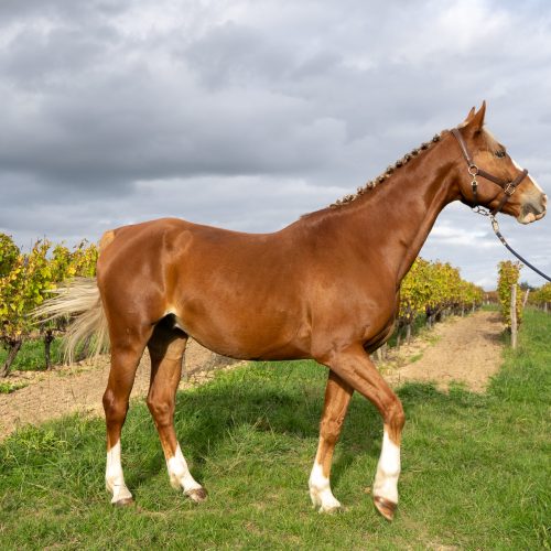 trashed 1670362748 a7397581 scaled pxrpct4hrx04xw4zyxd5wcwyfspuuw6rcupyabvzig