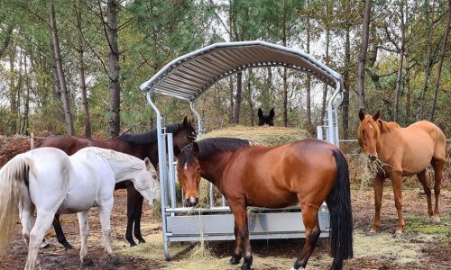 Pension pré poney