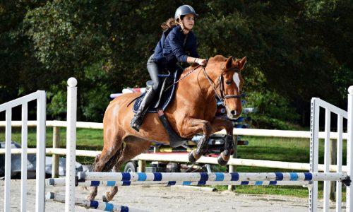 Travail personnalisé cavalier de CSO
