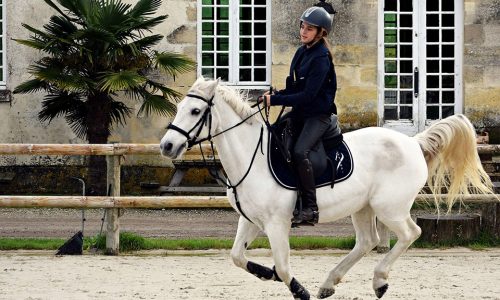 Cours en extérieur
