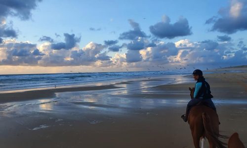 Balade a cheval sur la plage
