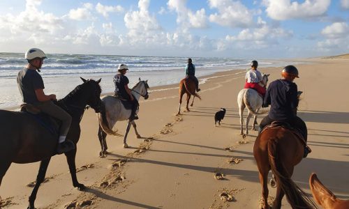 Balade a cheval sur la plage