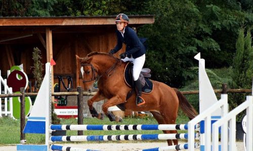 Coaching en concours CSO